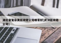 湖北省复杂美区块链公司哪家好[武汉区块链公司]