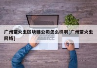 广州萤火虫区块链公司怎么样啊[广州萤火虫网络]