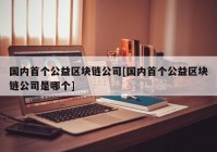 国内首个公益区块链公司[国内首个公益区块链公司是哪个]